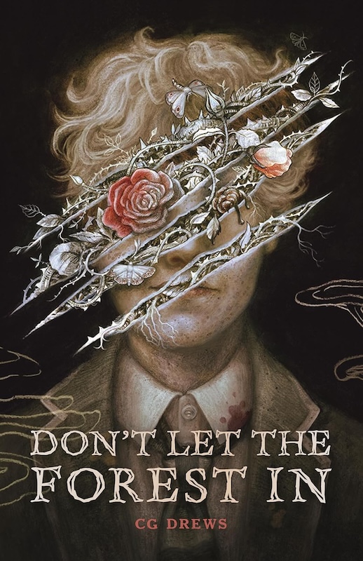 Book cover for Don’t Let the Forest In by CG Drews