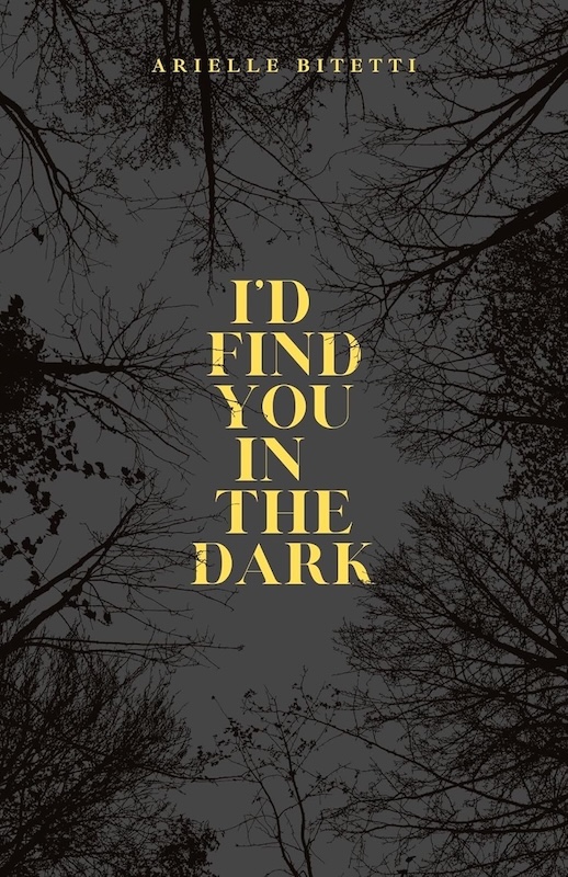 Book cover for I’d Find You In The Dark by Arielle Bitetti